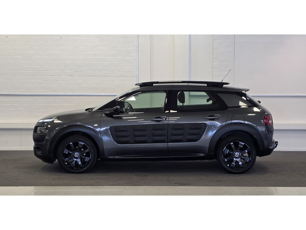 Citroën C4 Cactus 1.2 PureTech Business Trekhaak PDC Navigatie Mooi! 54939636-0.jpg | van den Boog Automotive